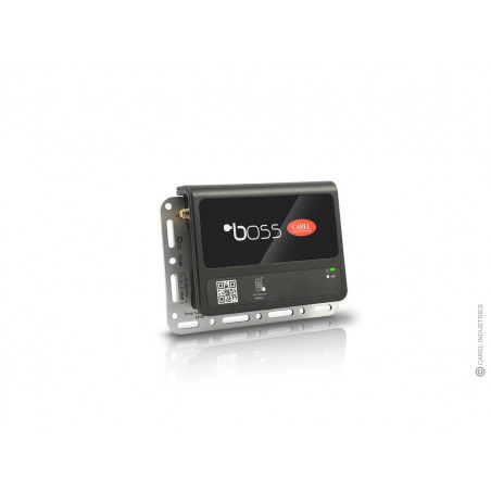 CONTROLLER DI SUPERVISIONE BOSS MINI STANDARD PER 30 DISPOSITIVI